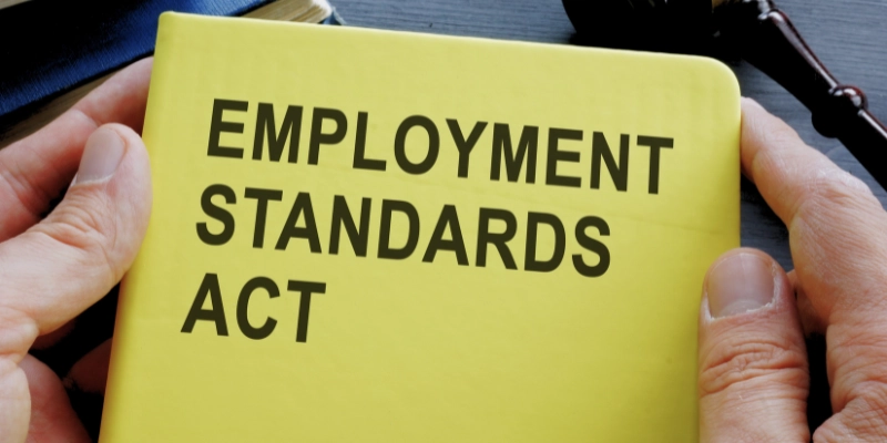Employment Standards Act book