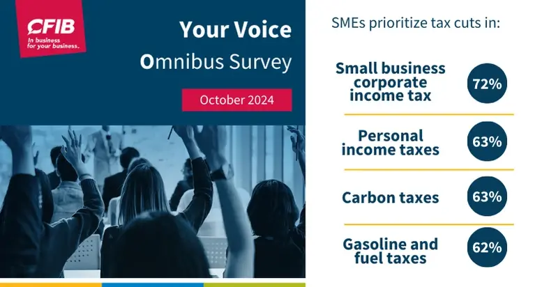 Your Voice Omnibus Survey