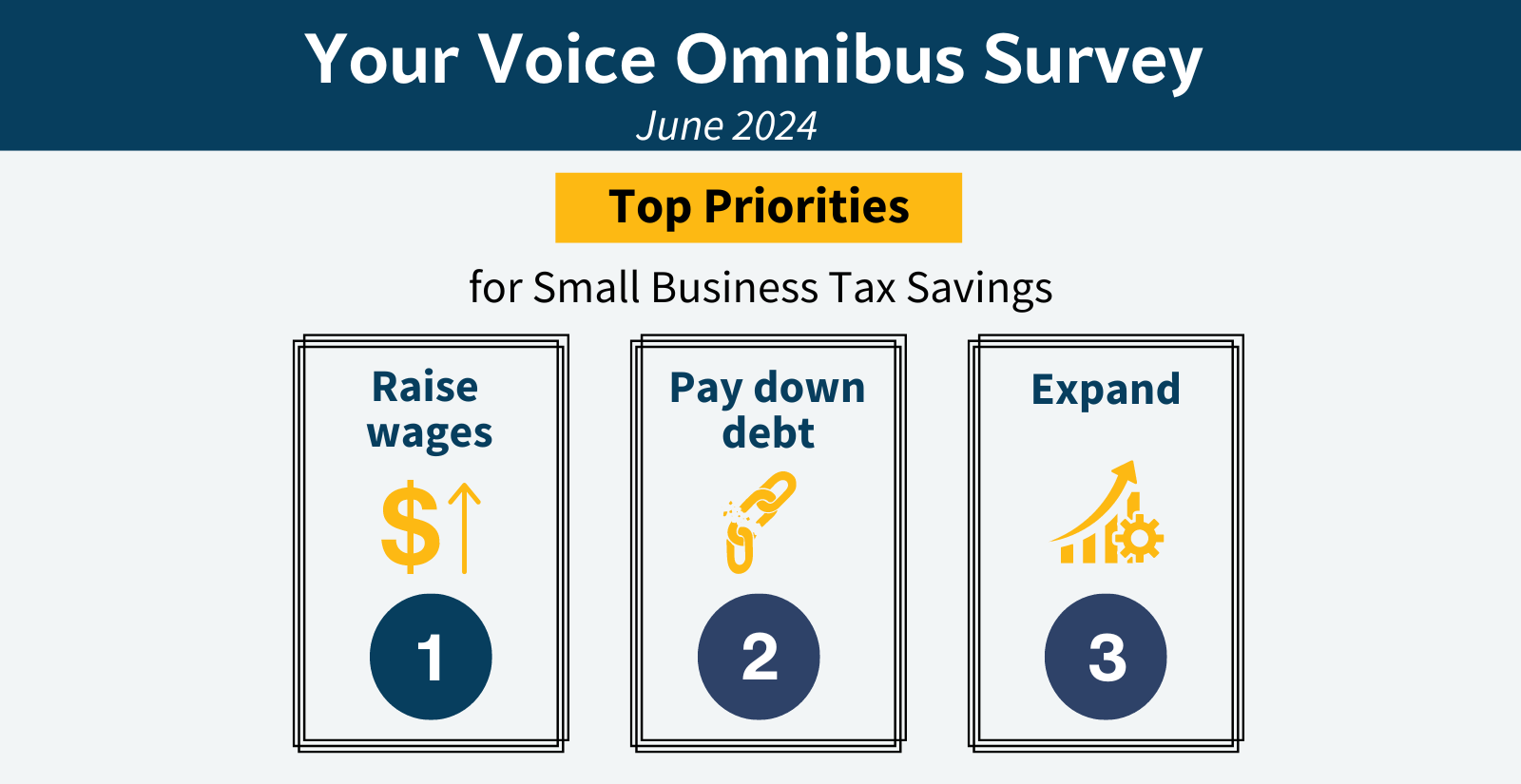 Your Voice Omnibus Survey June 2024